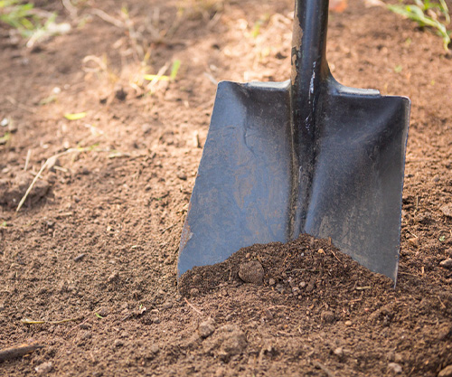 Кто завяжет нам шнурки? Немного об околоцерковных суевериях