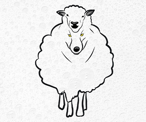 Кому нужны лжестарцы: психологический портрет соблазнившихся лжестарчеством