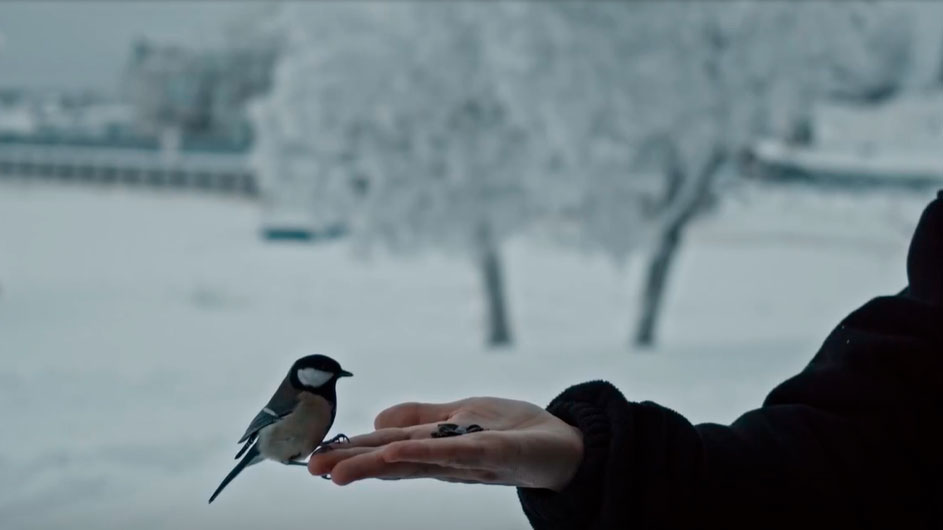 Святой Архипелаг (2022)