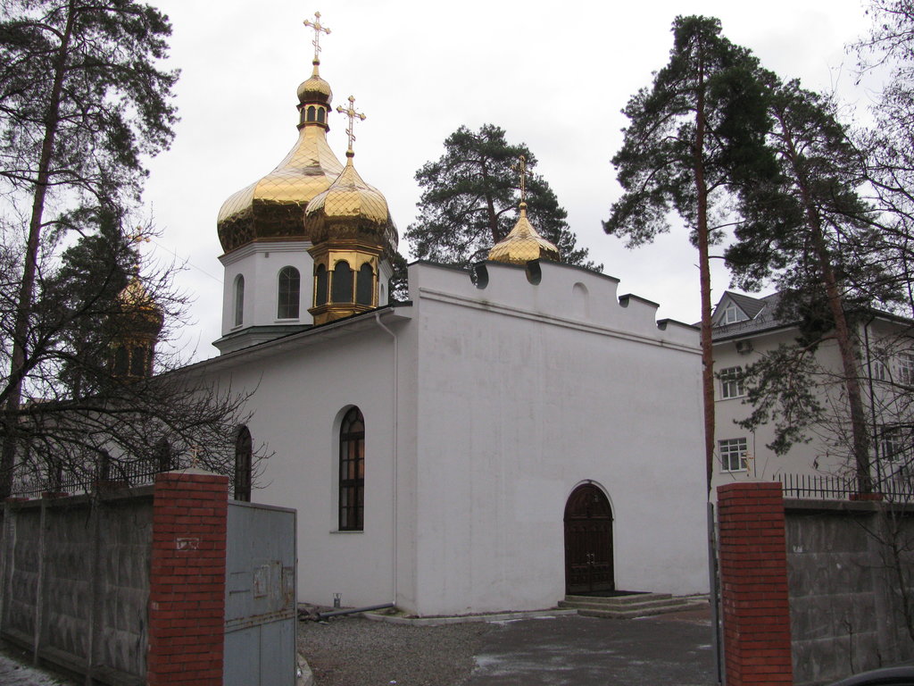 Храмы Киева 8