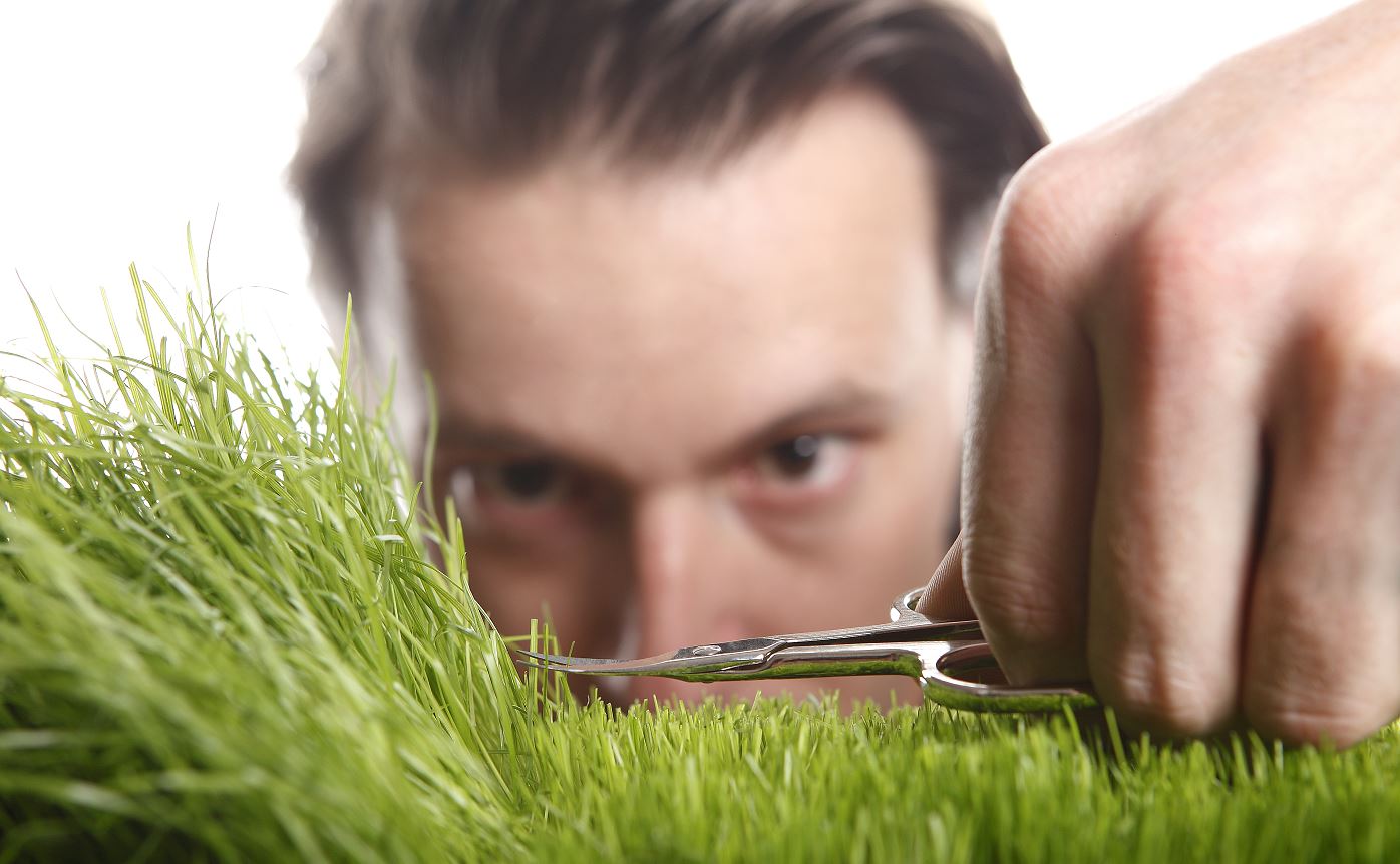 Перфекционизм