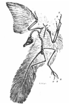 screenshot 11 – Камни и кости