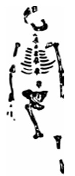 screenshot 12 – Камни и кости