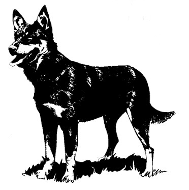 screenshot 17 2 – Камни и кости