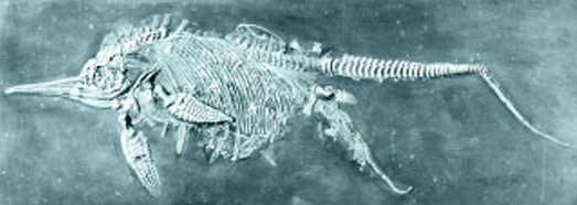 screenshot 3 – Камни и кости