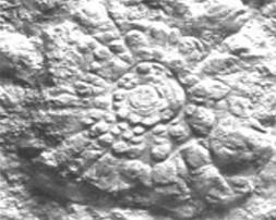 screenshot 5 – Камни и кости