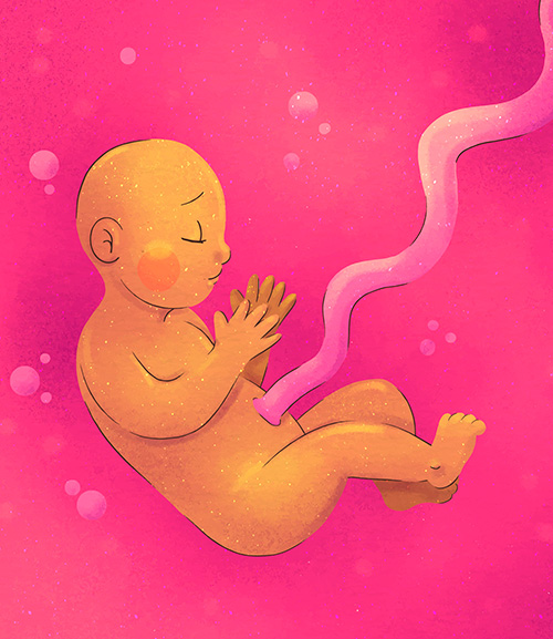 11 ответов сторонникам легальности абортов