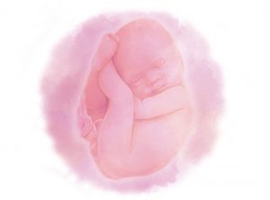 image1 e1580852925347 - Сорок первая неделя беременности