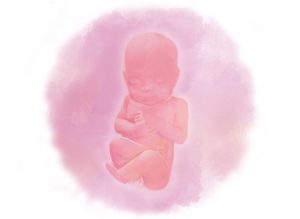 image3 e1580854419202 - Тридцать вторая неделя беременности