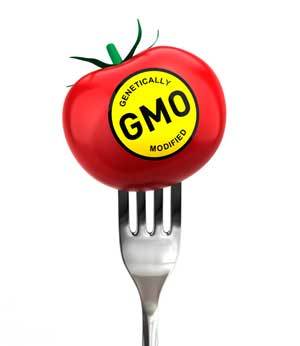 Осторожно: ГМО!
