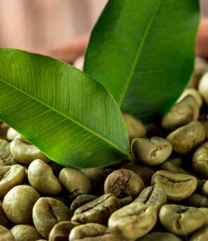 Зелёный кофе: польза и вред