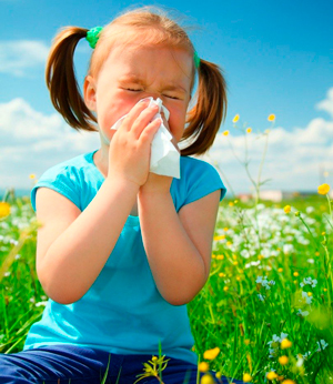 Самые актуальные вопросы об аллергии