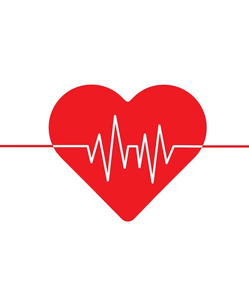Тест: диагностика заболеваний сердечно-сосудистой системы