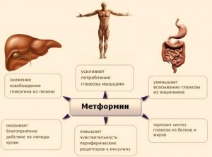 meh metphormin - Применение метформина: от диабета, старости и не только...