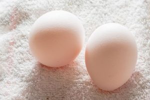 preview16 2 - Полезны ли куриные яйца?