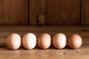 preview16 3 - Полезны ли куриные яйца?