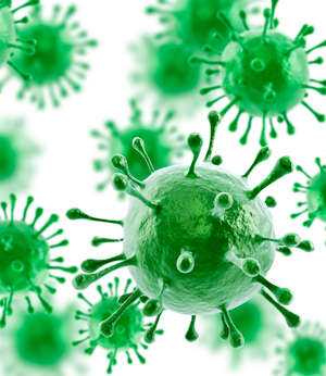 Найден вирус, способный омолодить иммунитет