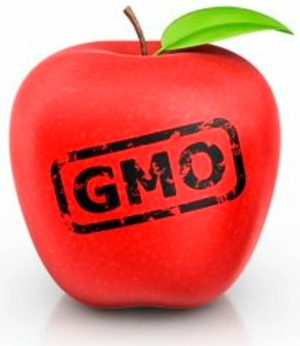 Продукты ГМО — горе или благо?