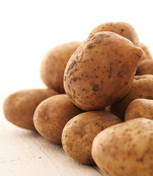 Генетик опасается воздействия созданного им ГМО-картофеля на здоровье людей