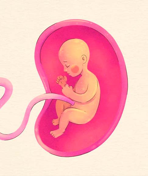 Акушер-гинеколог: Аборт это абсолютное убийство