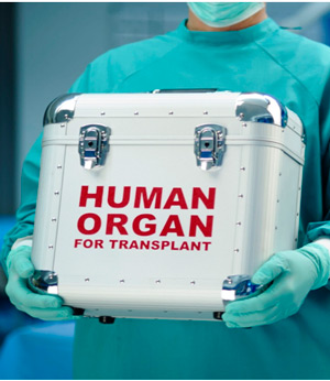 Донорство органов после смерти от сердечнососудистых заболеваний: этические проблемы и международная практика