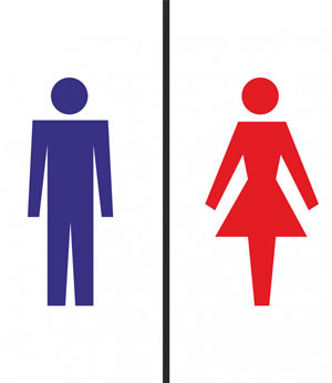 Равнозначны ли понятия «пол» и «гендер»?