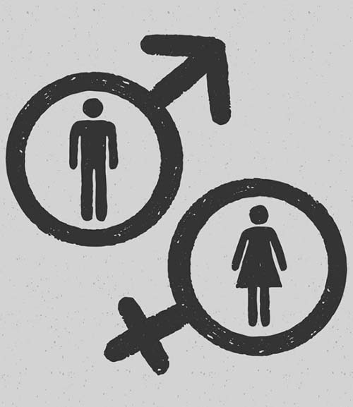 Почему понятие «пол» заменили на «гендер»?